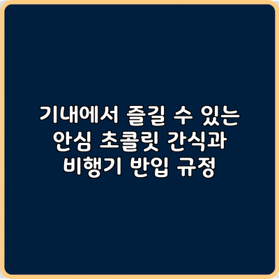 기내에서 즐길 수 있는 안심 초콜릿 간식과 비행기 반입 규정