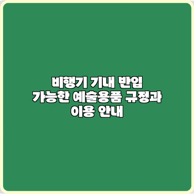 비행기 기내 반입 가능한 예술용품 규정과 이용 안내
