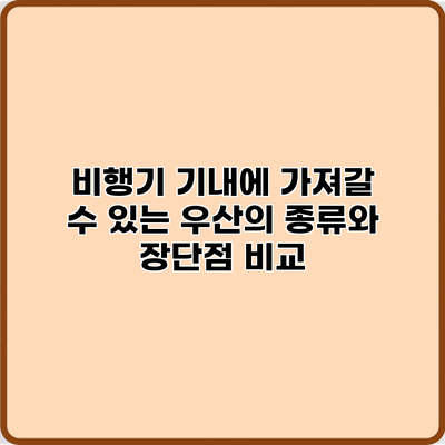 비행기 기내에 가져갈 수 있는 우산의 종류와 장단점 비교