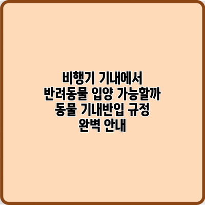 비행기 기내에서 반려동물 입양 가능할까? 동물 기내반입 규정 완벽 안내