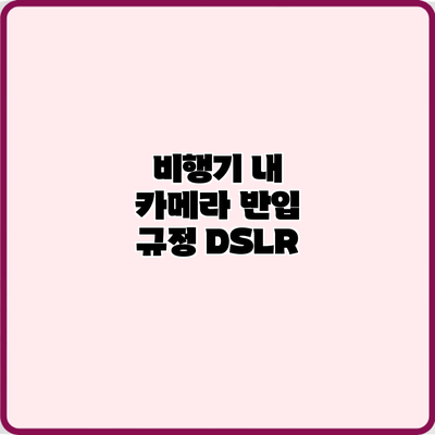 비행기 내 카메라 반입 규정: DSLR