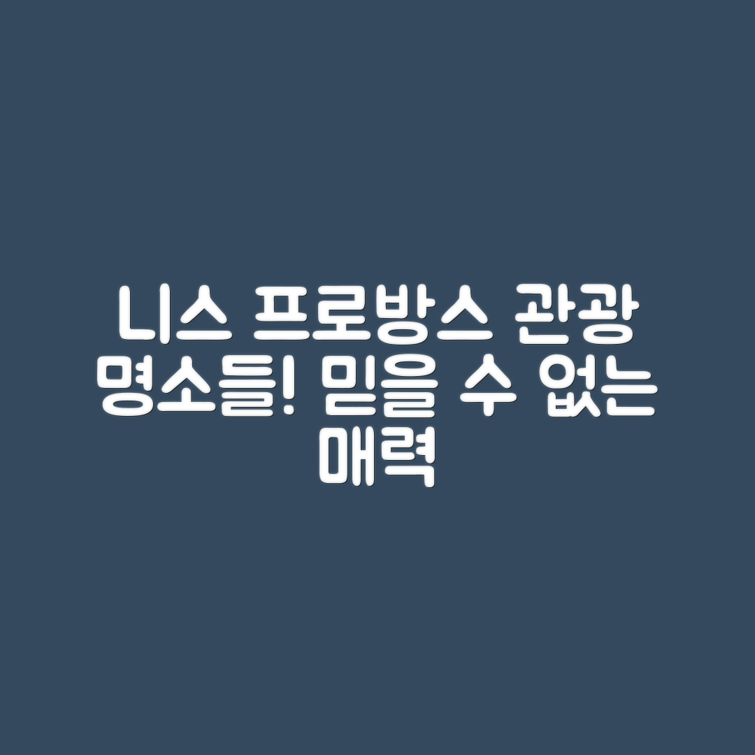 믿을 수 없는 프랑스 니스 프로방스 해안의 관광 명소