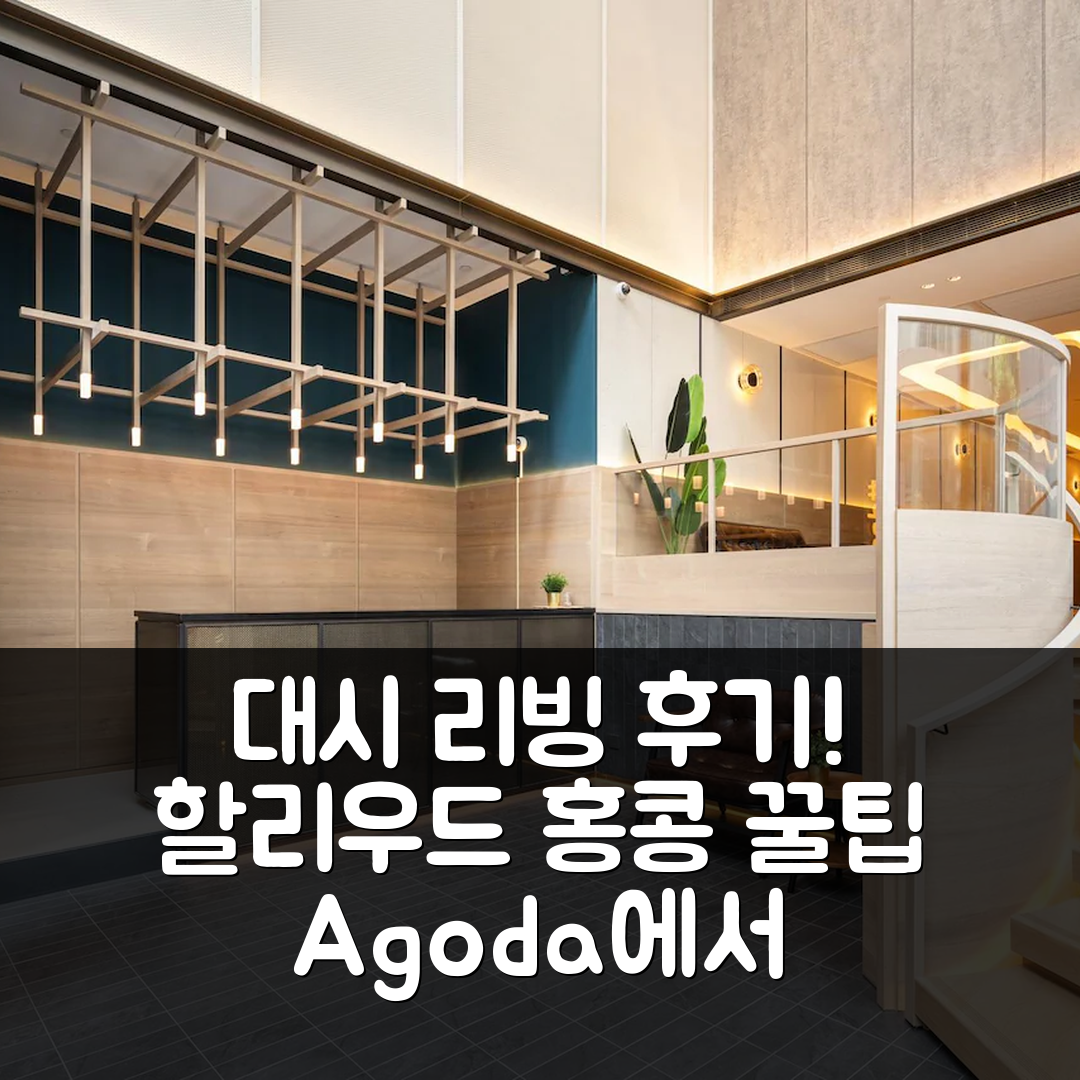 대시 리빙 온 할리우드 홍콩 후기 & 꿀팁!