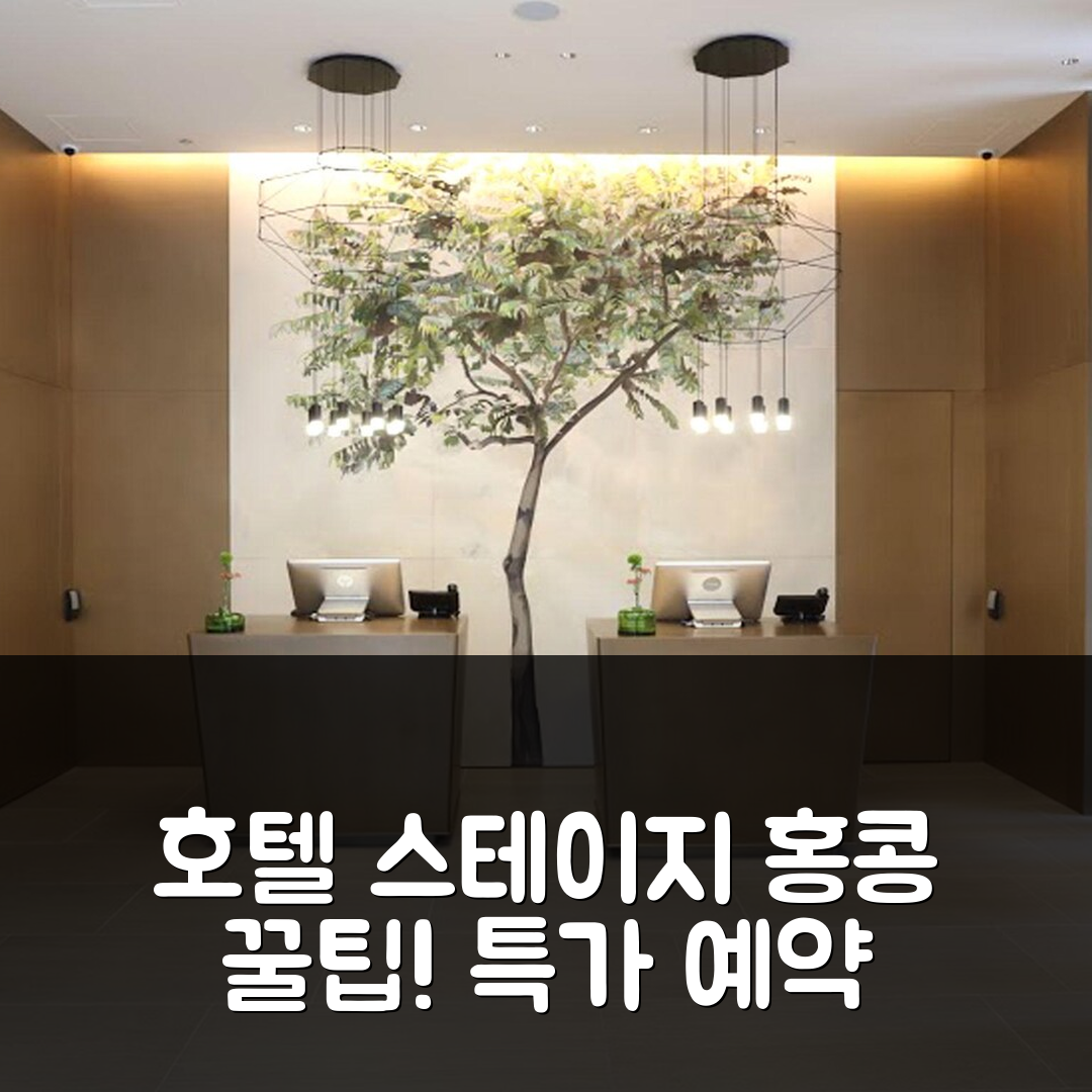 호텔 스테이지 홍콩 리뷰 & 특가 예약 꿀팁!