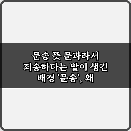 문송 뜻 문과라서 죄송하다는 말이 생긴 배경 4가지 핵심 가이드